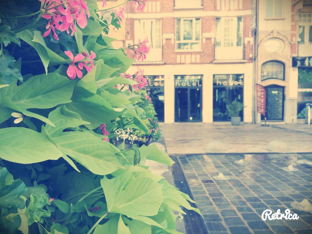 Es Hostel Saint-Gilles المظهر الخارجي الصورة